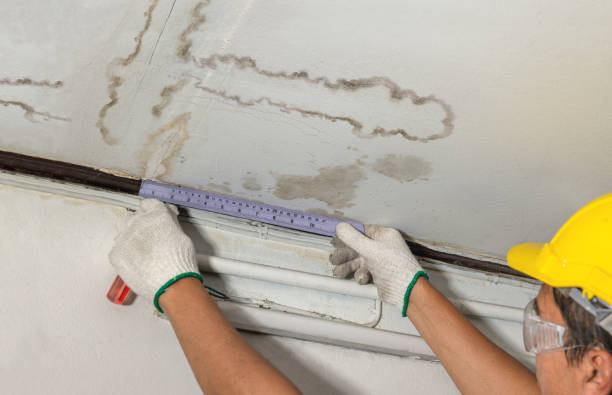 Affordable Basement Flood Cleanup solutions in Henrietta, MO